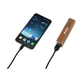 Powerbank 2000 wood