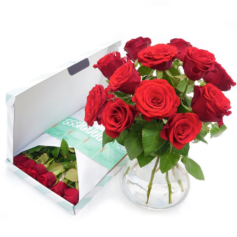 Rode Brievenbusrozen brievenbusbloemen