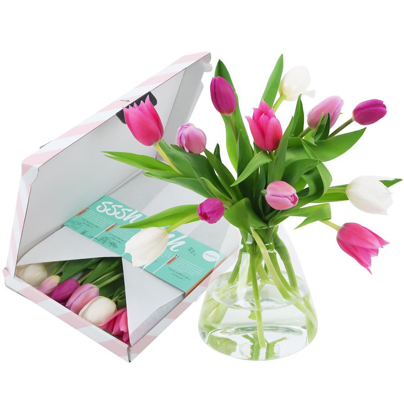 Tulpen Pastel brievenbusbloemen