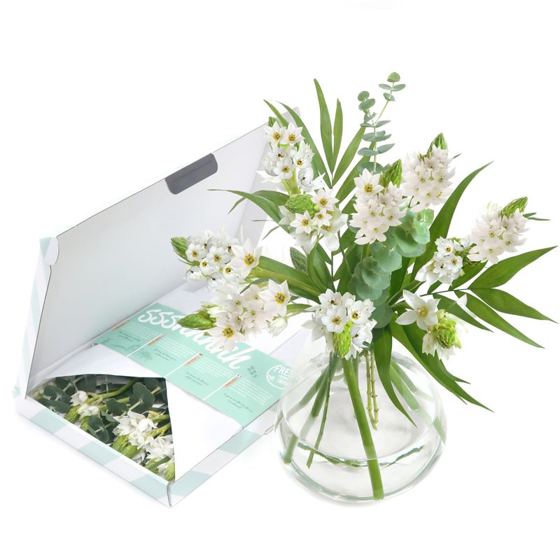 White Wonder brievenbusbloemen