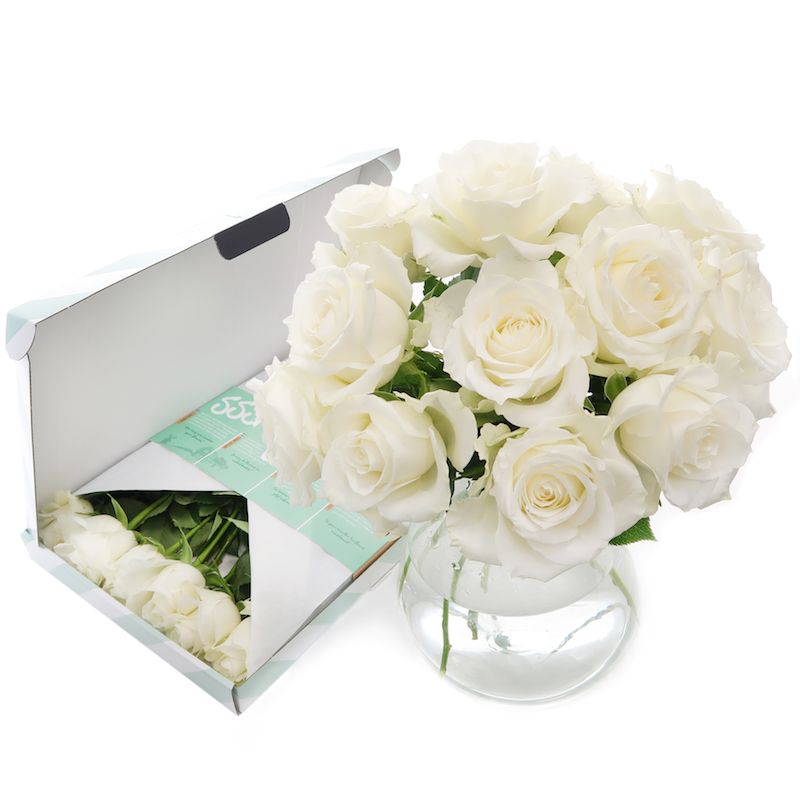 Witte Brievenbusrozen brievenbusbloemen